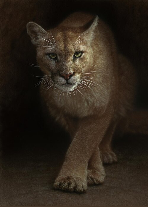 Cougar Art Greeting Card featuring the painting Cougar - Emergence by Collin Bogle