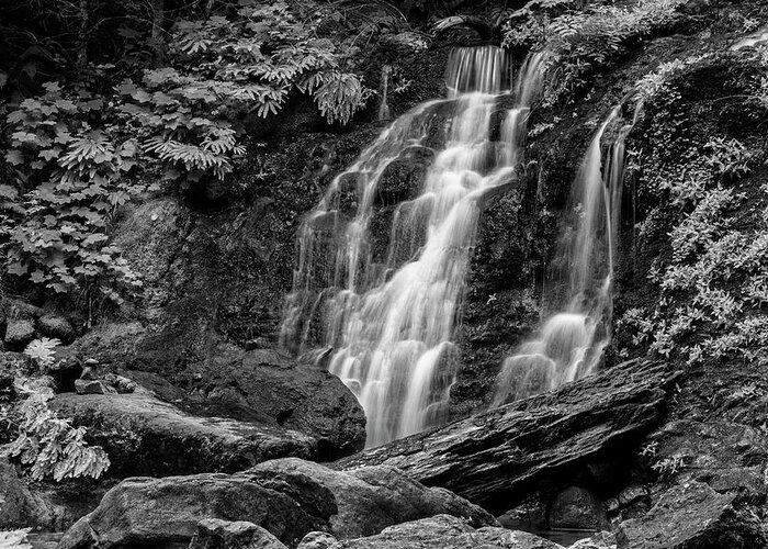 Cougar Falls Greeting Card featuring the photograph Cougar Falls - Black and White by Stephen Stookey