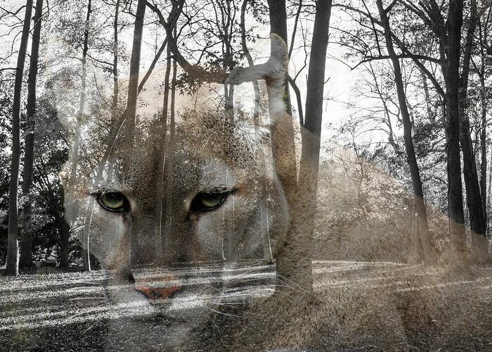 Cougar Greeting Card featuring the digital art Cougar, The Cunning One by M Three Photos