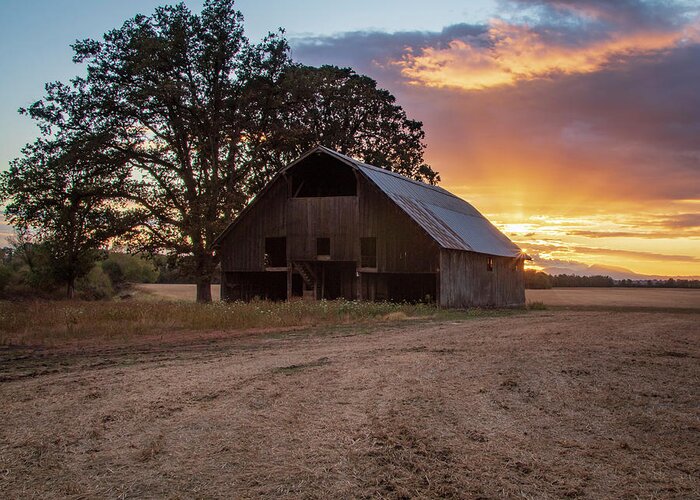 Hay Barn Greeting Card featuring the photograph Country Gold by Catherine Avilez