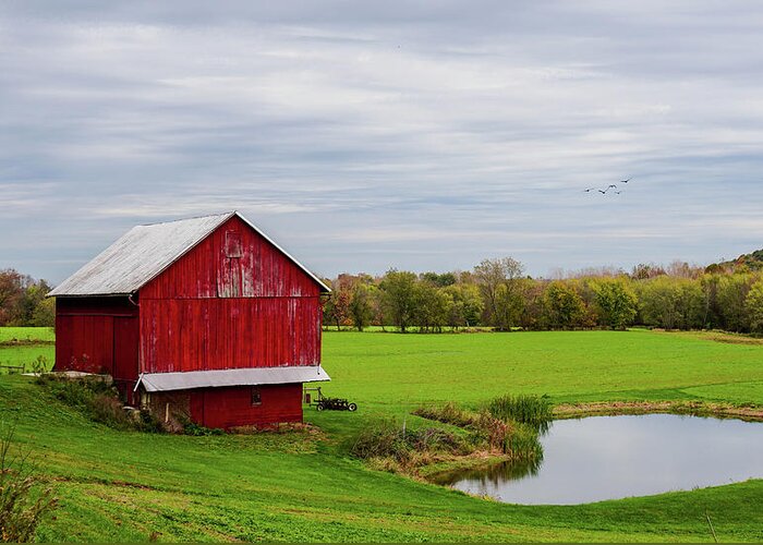 Ohio Country Greeting Card featuring the photograph Country in Ohio by Mary Timman