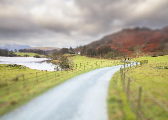 Agriculture Greeting Card featuring the photograph Country Lane In The Lakes -2 by Chris Smith