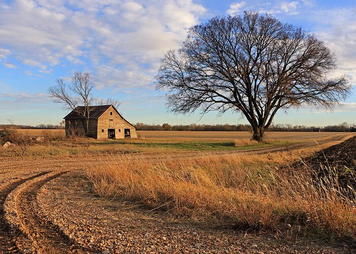 Barn Greeting Card featuring the photograph Country Road by Christopher McKenzie
