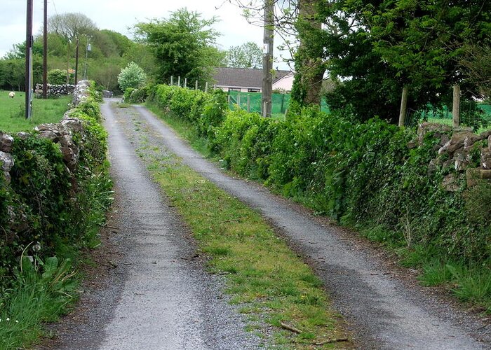Countryside Greeting Card featuring the photograph Country Road in Ireland by Jeanette Oberholtzer