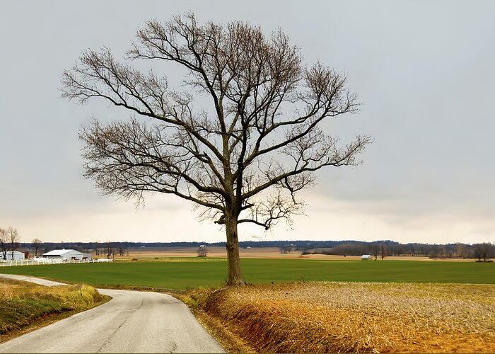 Winter Photography Greeting Card featuring the photograph Country Road by Steven Michael