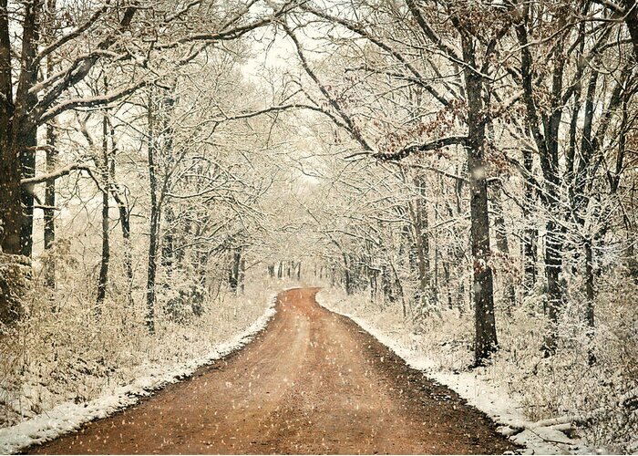 Snow Greeting Card featuring the photograph Country Roadq by Marty Koch