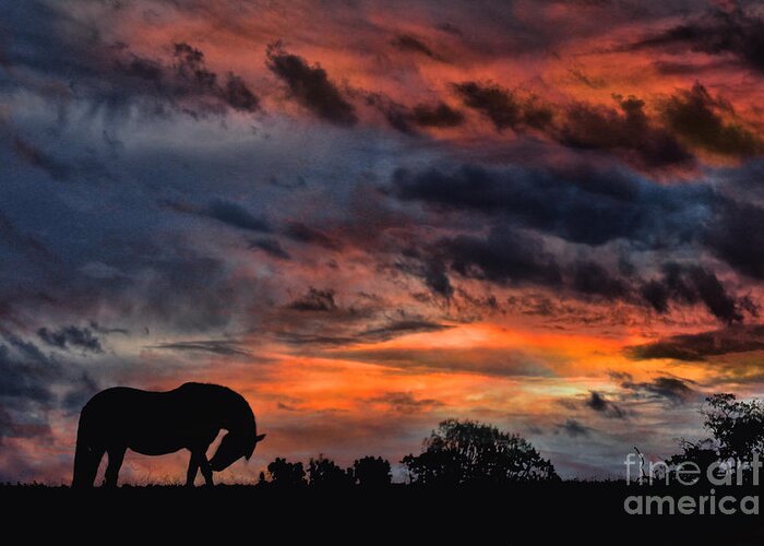 Horse Greeting Card featuring the photograph Country Sunrise by Stephanie Laird