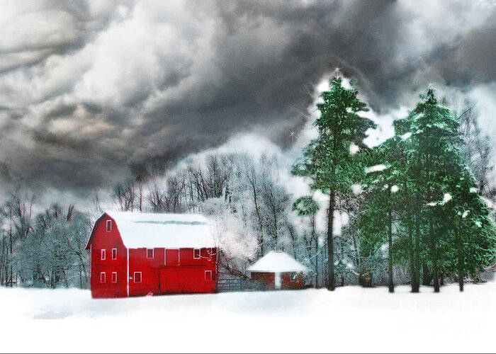 Country Winter Greeting Card featuring the photograph Country winter by Gina Signore