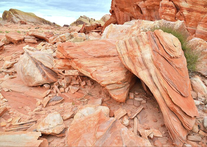 Valley Of Fire State Park Greeting Card featuring the photograph Cove of Sandstone Shapes in Valley of Fire by Ray Mathis