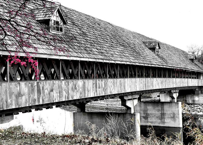 Frankenmuth Greeting Card featuring the photograph Covered Bridge 2 by Scott Hovind
