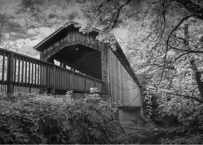 Bridge Greeting Card featuring the photograph Covered Bridge on the Thornapple River by Randall Nyhof