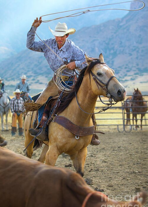 Cowboy Greeting Card featuring the photograph Cowboy Roping a Steer by Diane Diederich