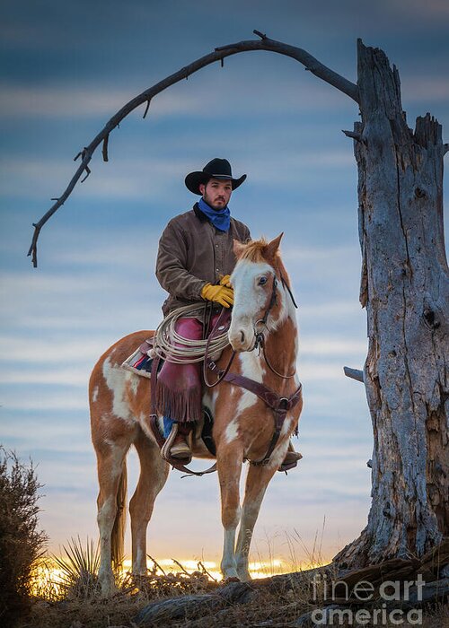 America Greeting Card featuring the photograph Cowboy Under Tree by Inge Johnsson