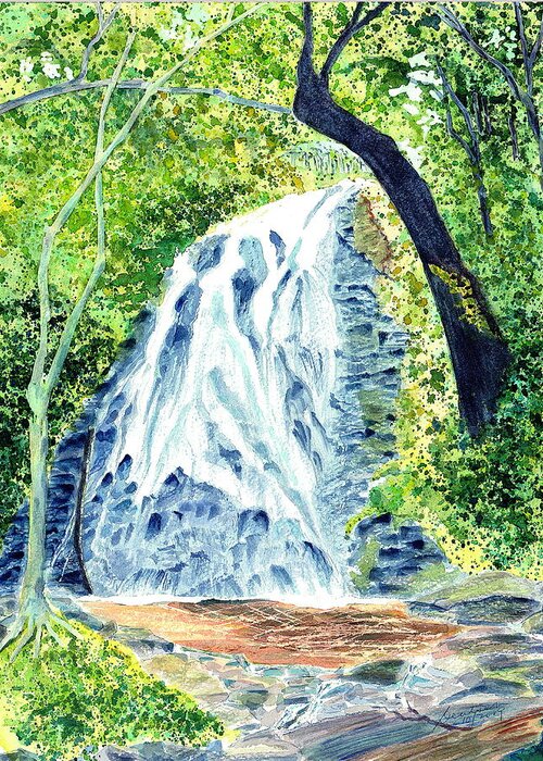 Crabtree Falls Waterfalls Blue Ridge Summer Greeting Card featuring the painting Crabtree Falls - Phantom of the Blue Ridge by Joel Deutsch