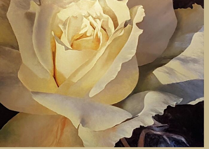 Rose. Rose Painting. Oil Painting Rose Greeting Card featuring the painting Creamy Rose by Jessica Anne Thomas