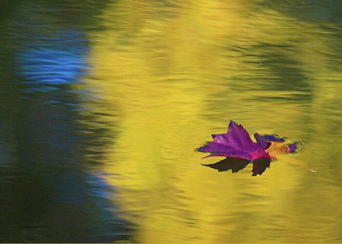 Fall Color Greeting Card featuring the photograph Crimson and Gold by Steve Stuller