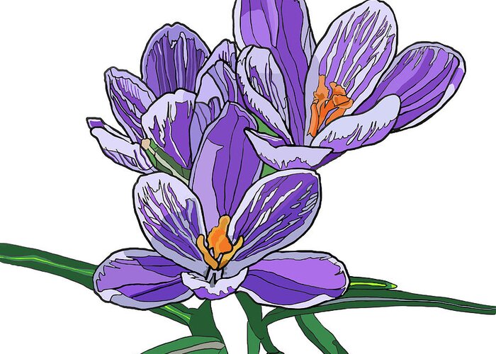 Crocus Greeting Card featuring the painting Crocus by Jamie Downs