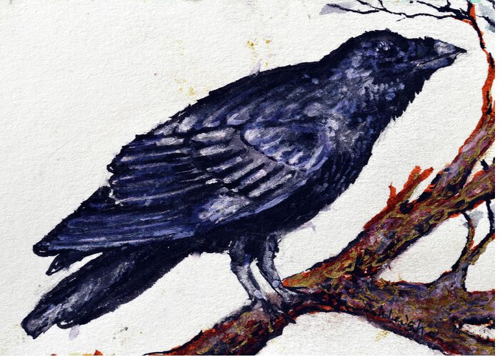 Crow Greeting Card featuring the painting Crow cooos and sees you by Ashleigh Dyan Bayer