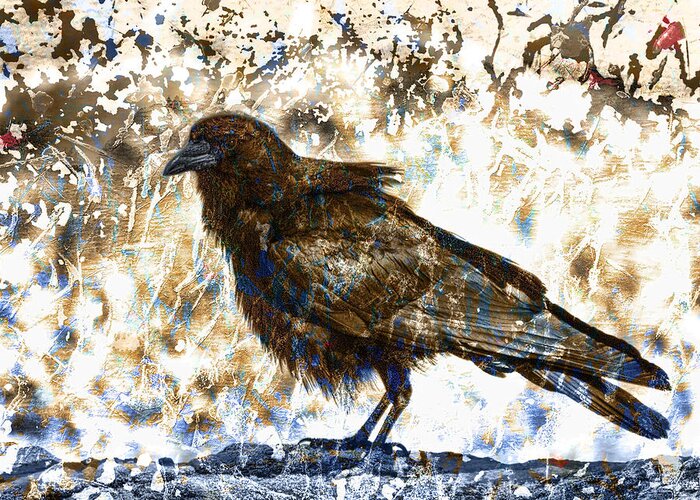 Crow Greeting Card featuring the photograph Crow on Blue Rocks by Carol Leigh