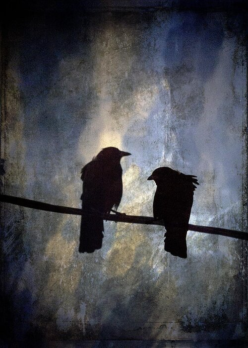 Crow Greeting Card featuring the photograph Crows and Sky by Carol Leigh