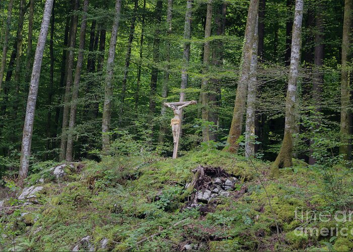 Michelle Meenawong Greeting Card featuring the photograph Crucifix In The Forest by Michelle Meenawong