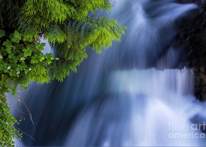 Creek Greeting Card featuring the photograph Crystal Creek Waterfalls by Sal Ahmed