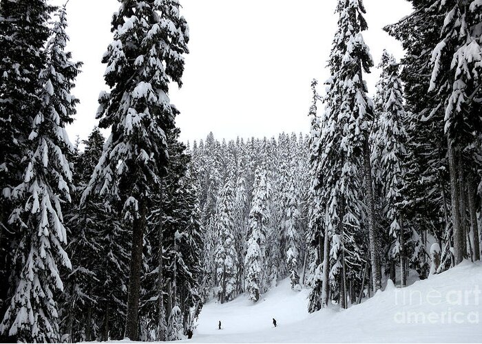 Ski Greeting Card featuring the photograph Crystal Mountain Skiing 2 by Tatyana Searcy