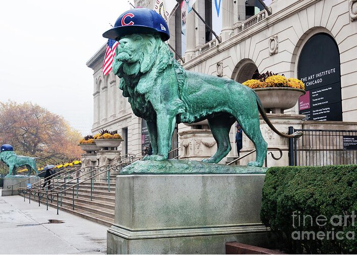 Cubbies Lions Greeting Card featuring the photograph Cubs Lions by Patty Colabuono