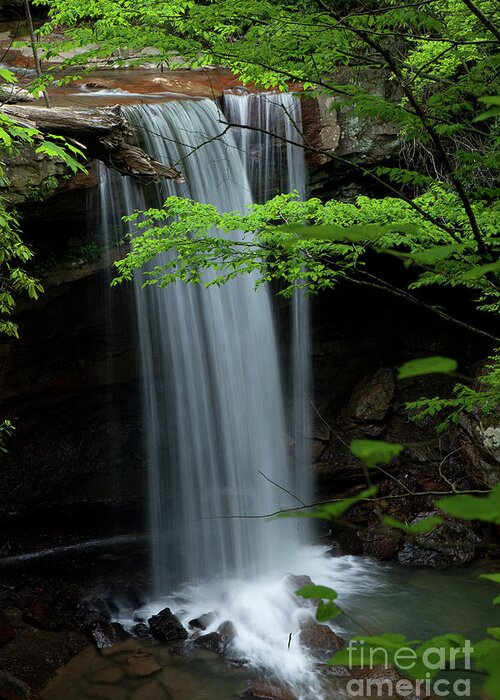 Waterfall Greeting Card featuring the photograph Cucumber Falls by Rich S