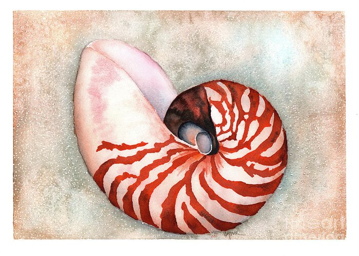 Nautilus Greeting Card featuring the painting Curled Nautilus by Hilda Wagner
