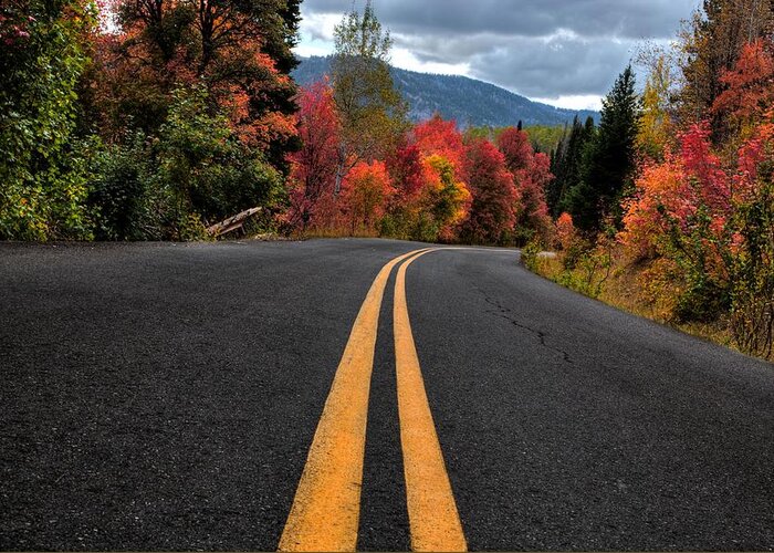 Autumn Greeting Card featuring the photograph Curve of the Road by David Andersen