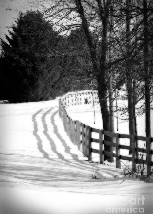 Fence Greeting Card featuring the photograph Curving Around the Corner by Cathy Beharriell