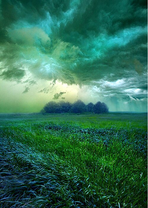 Storm Greeting Card featuring the photograph Cutting Loose by Phil Koch
