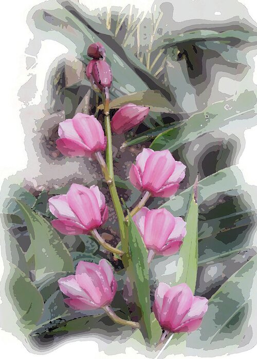 Cymbidium Orchids Greeting Card featuring the digital art Cymbidium by Don Wright