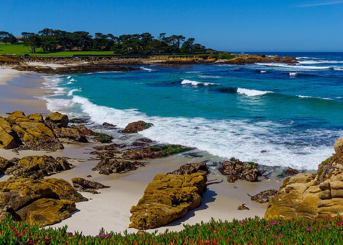 Monterey Greeting Card featuring the photograph Cypress Point by Derek Dean