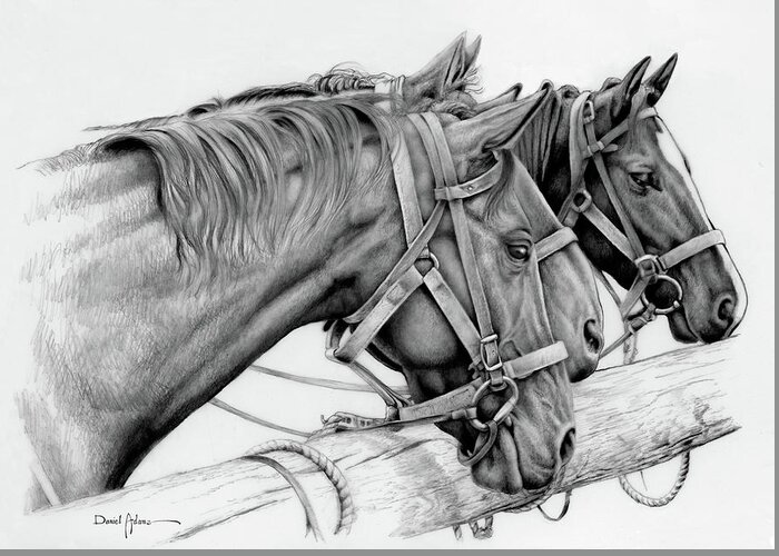 Horse Greeting Card featuring the drawing Three Horses Daniel Adams by Daniel Adams