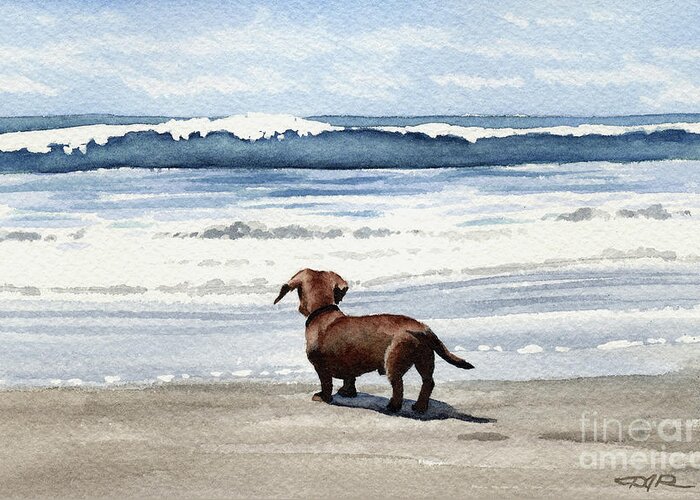 Dachshund Greeting Card featuring the painting Dachshund at the Beach by David Rogers