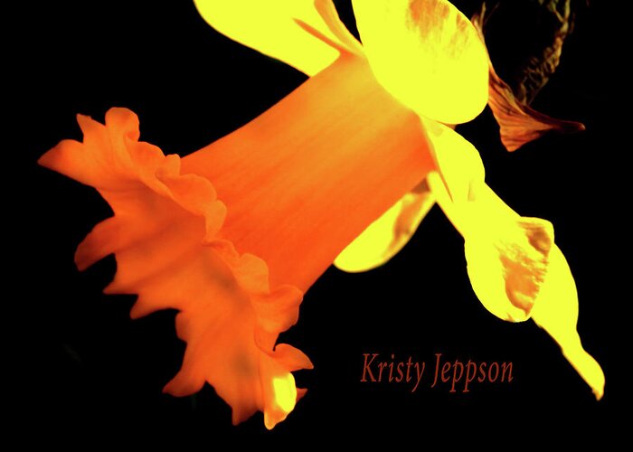 Daffodil Greeting Card featuring the digital art Daffodil Drama by Kristy Jeppson