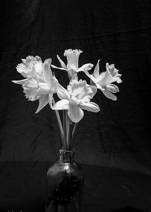 Daffodils Greeting Card featuring the photograph Daffodils in a Vase - Monochrome by Aashish Vaidya