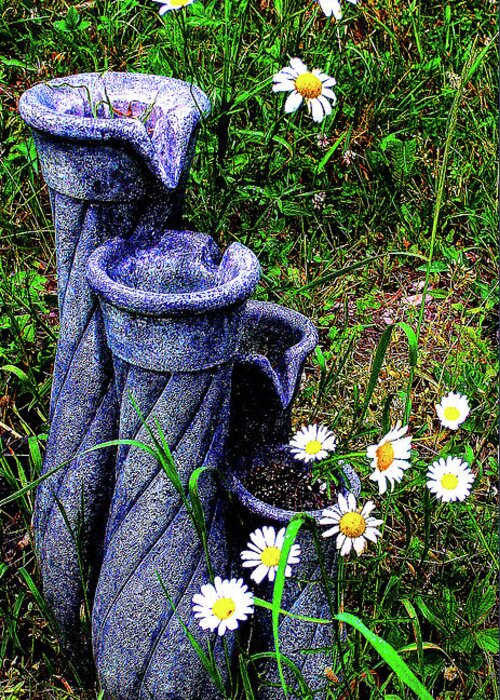 Daisies Greeting Card featuring the photograph Daisy Fountain by Jeff Kurtz