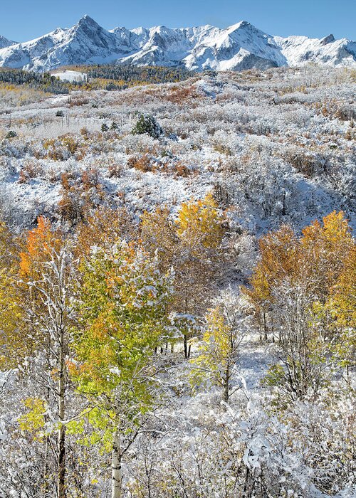 Mountain Greeting Card featuring the photograph Dallas Divide in October by Denise Bush