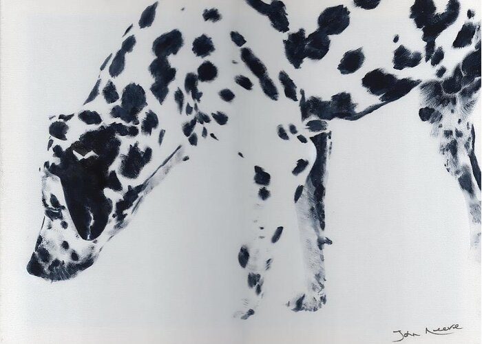 Dalmation Greeting Card featuring the painting Dalmation by John Neeve