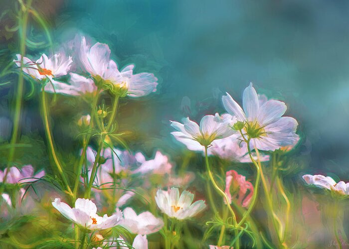 Flowers Greeting Card featuring the photograph Dancing Cosmos by John Rivera