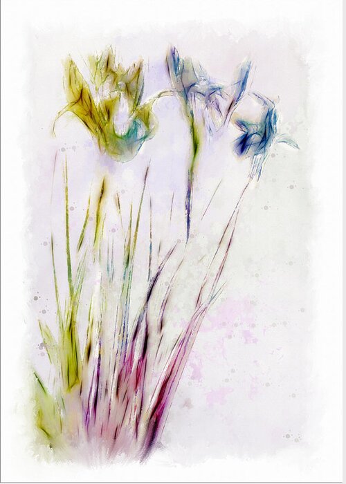 Digital Art Greeting Card featuring the digital art Dancing Irises by Jill Balsam