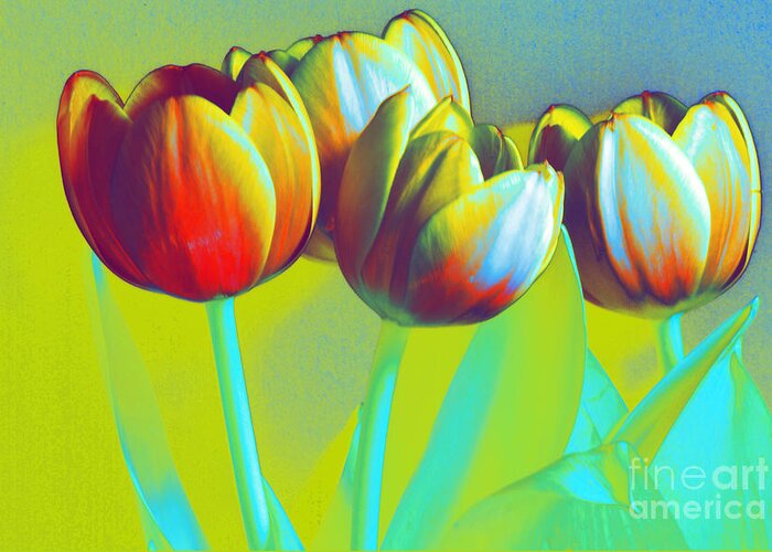 Tulips Greeting Card featuring the photograph Dancing Tulips by Karen Lewis