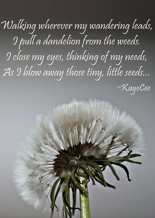 Dandelion Greeting Card featuring the photograph Dandelion Dreams- Fine Art And Poetry by KayeCee Spain