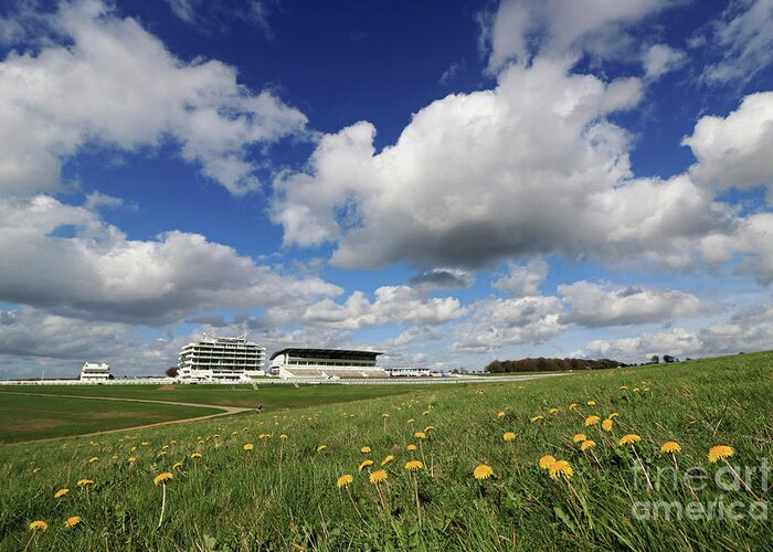 Dandelions On Epsom Downs Uk Fluffy Cumulus Clouds English Landscape Countryside Greeting Card featuring the photograph Dandelions on Epsom Downs UK by Julia Gavin