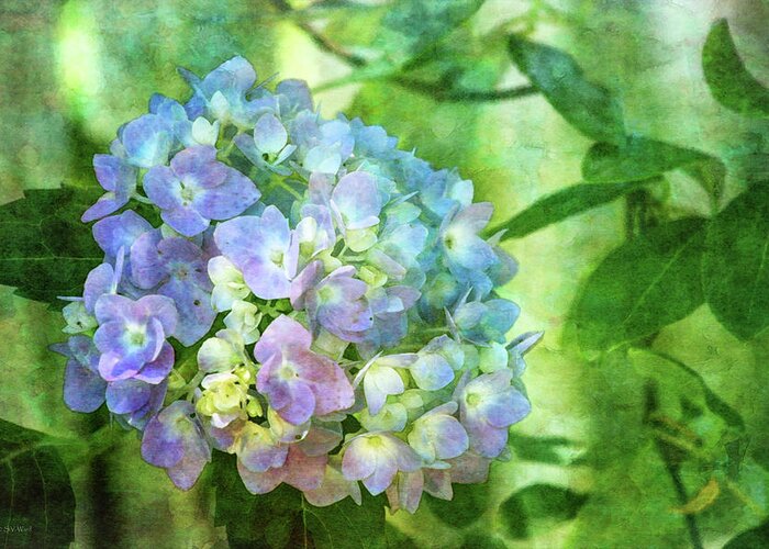Impressionist Greeting Card featuring the photograph Dappled Light Hydrangea 2300 IDP_2 by Steven Ward
