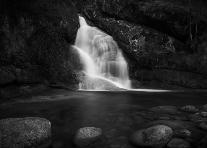 Lady Bath Falls Greeting Card featuring the photograph Dark Lady by Mark Lucey