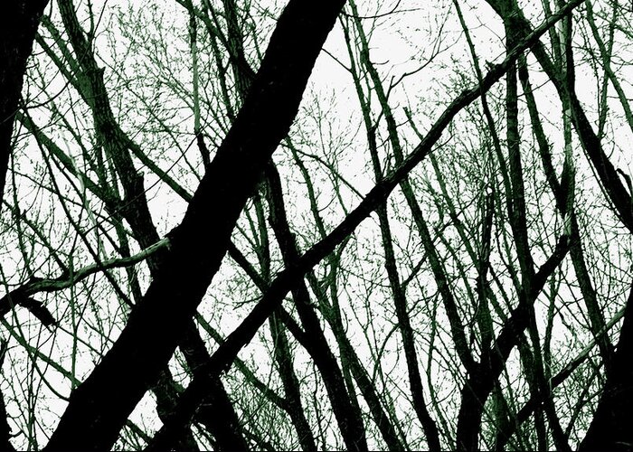 Dark Greeting Card featuring the photograph Dark Limbs by Steven Milner